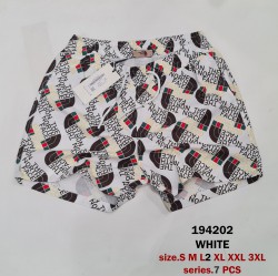 Мужские Шорты The North Face