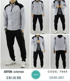 Мужской Спортивный Костюм Lacoste
