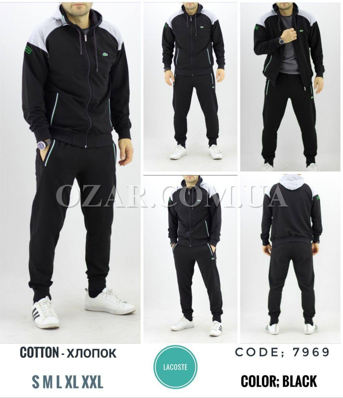 Мужской Спортивный Костюм Lacoste