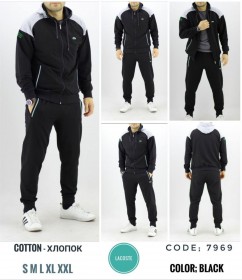 Мужской Спортивный Костюм Lacoste