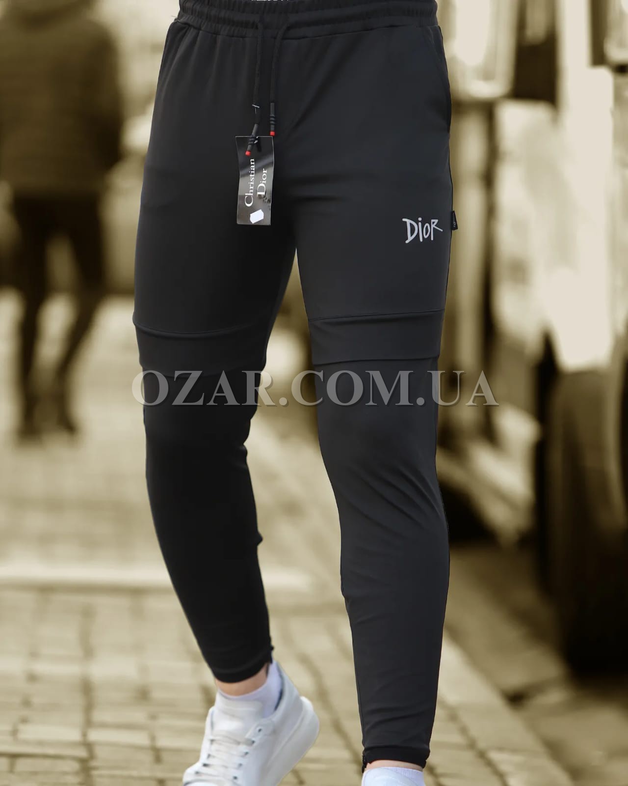 Мужские Спортивные Штаны Dior