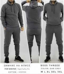 Утеплённый Мужской Спортивный Костюм TREE