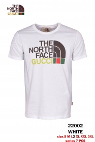Мужская Футболка The North Face