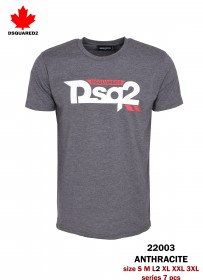 Мужская Футболка Dsquared2