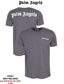 Мужская Футболка Palm Angels