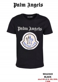 Мужская Футболка Palm Angels