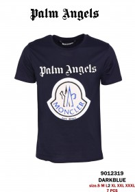 Мужская Футболка Palm Angels