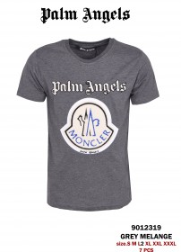 Мужская Футболка Palm Angels